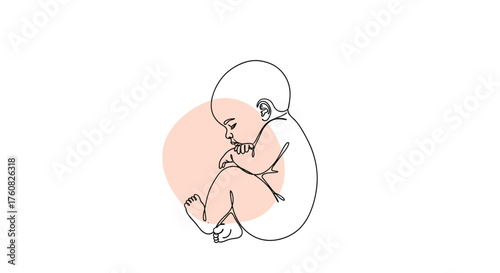 A whimsical illustration of a poodle with abstract shapes.