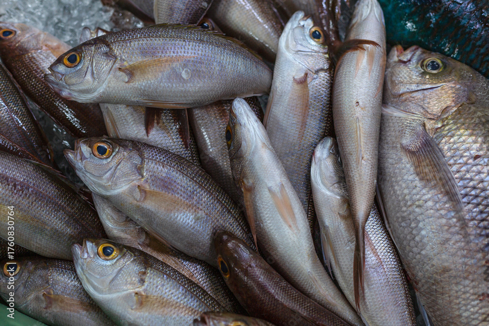 Obraz premium Fresh fish at the market. Industry and business. Close-up. Top view.