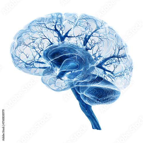 Glowing blue human brain with active neural network. Concept of AI, consciousness, and thinking. 3D illustration isolated on black background.