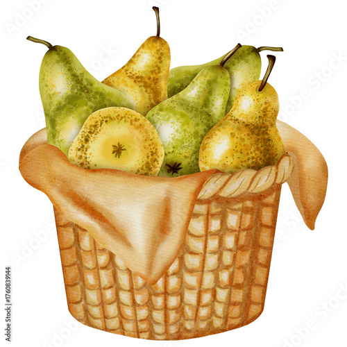 Hand painted watercolor illustration of a woven basket filled with various whole and sliced green and yellow pears. Perfect for harvest festival design, packaging, and rustic decor