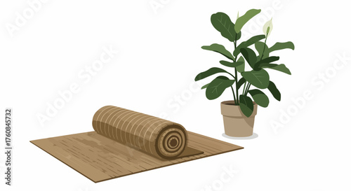 Rolled yoga mat on floor with potted peace lily plant on white background in studio setting scene