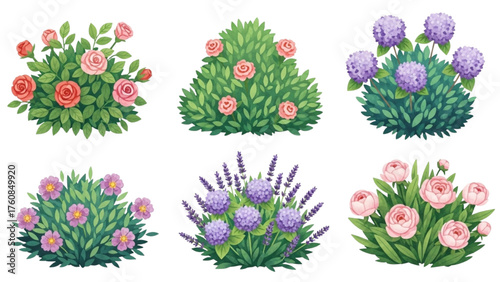 A beautiful collection of isolated flowering garden bushes and shrubs