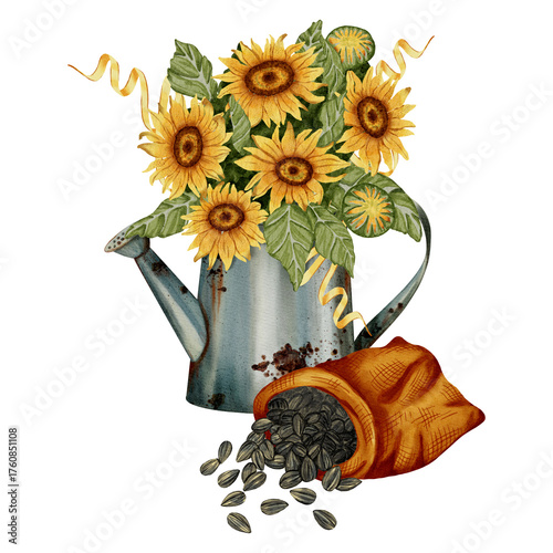 Watercolor drawing of a bouquet of sunflowers in a rusty garden watering can. Perfect for food packaging, organic product design, packaging or agricultural projects.