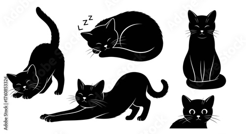 Charming feline silhouettes showcasing stretching sleeping sitting observing and playful stances