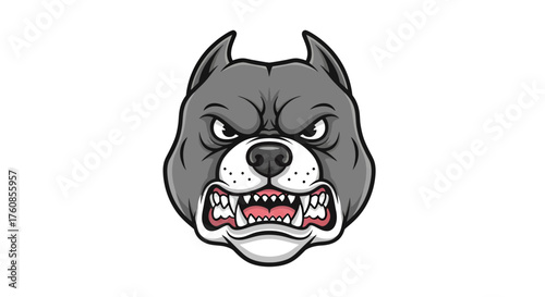 Illustration showcasing a ferocious grey pitbull head with menacing eyes and bared teeth