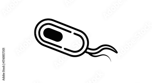 Simple vector illustration of bacterium cell with flagella on white background, isolated view