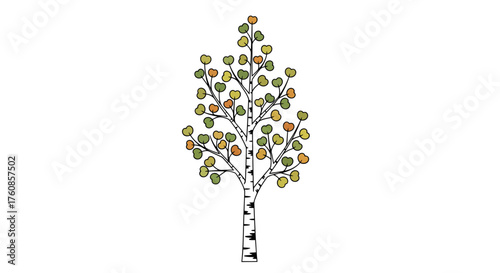 Stylized birch tree illustration with transitioning seasonal leaf colors and isolated presentation