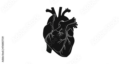 Stylized monochrome anatomical heart illustration for medical design purposes