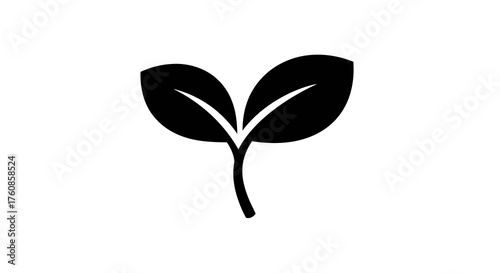 Symmetrical silhouette of a nascent sprout against a pristine white background