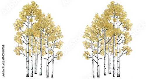 Serene depiction of symmetrical birch tree clusters with golden foliage on a white canvas