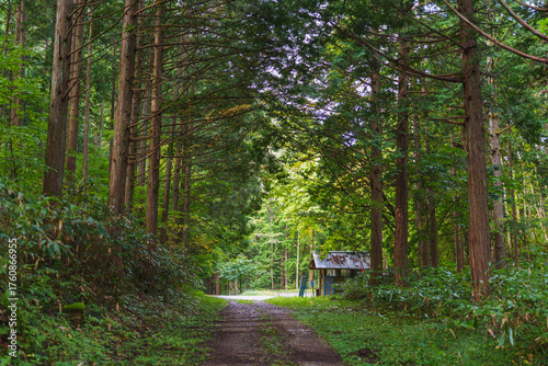 山小屋と登山道 （ 飛騨小坂） 2025年10月中旬撮影