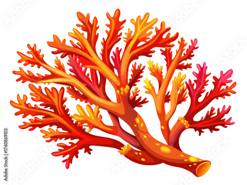 Realistic vector illustration of coral reef branch, vibrant red and orange colors, detailed texture, isolated on white background, marine nature design