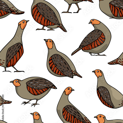 Vector seamless pattern with hand drawn cute Grey Partridges. Beautiful illustration, ink drawing. Perfect for prints and patterns