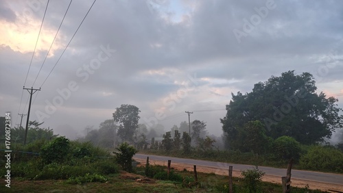 morning in the mountains