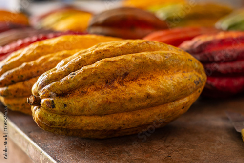 Peruvian cacao cultivated by native communities of Alto Mayo in the high jungle, cacao from the Amazonian cloud forests