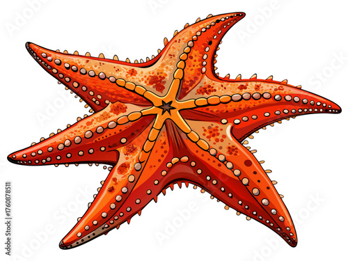 Realistic vector of starfish with five arms, orange-red tone, rough texture, isolated on white background, marine nature art