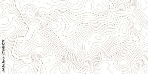 Topographic map pattern background vector. Abstract mountain terrain map background with abstract shape line texture. Design illustration for wall art, fabric, packaging, web, banner.