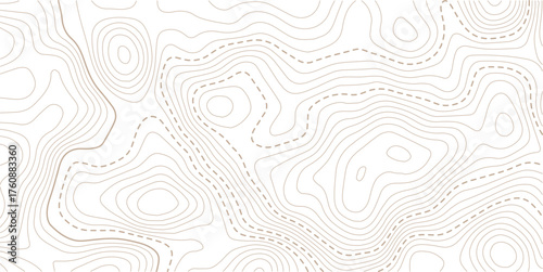 Topographic map pattern background vector. Abstract mountain terrain map background with abstract shape line texture. Design illustration for wall art, fabric, packaging, web, banner.