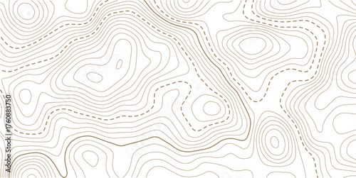Topographic map pattern background vector. Abstract mountain terrain map background with abstract shape line texture. Design illustration for wall art, fabric, packaging, web, banner.