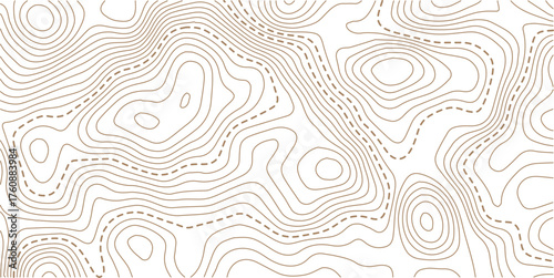 Topographic map pattern background vector. Abstract mountain terrain map background with abstract shape line texture. Design illustration for wall art, fabric, packaging, web, banner.