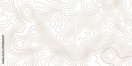 Topographic map pattern background vector. Abstract mountain terrain map background with abstract shape line texture. Design illustration for wall art, fabric, packaging, web, banner.