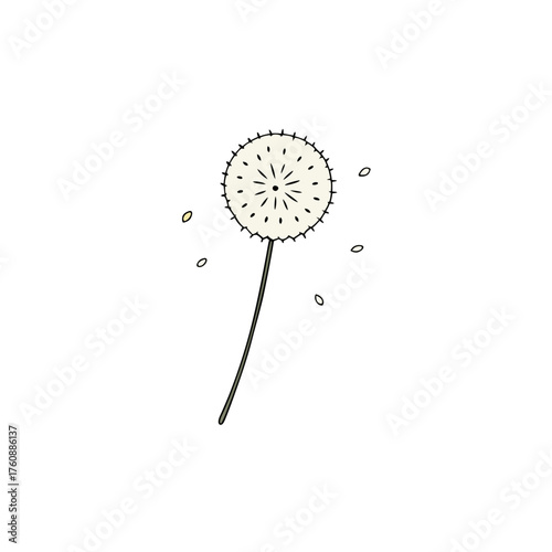 Vector illustration of a delicate dandelion seed head with floating seeds in a stylized design