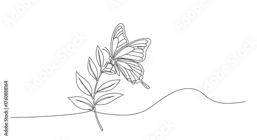 A delicate butterfly rests on a leafy sprig beside a gentle wavy line.