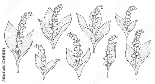 A delicate pattern of lily of the valley flowers.