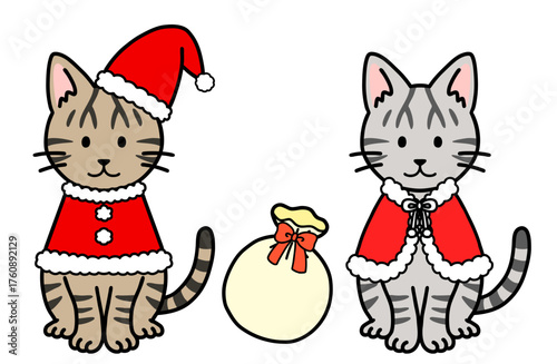 クリスマスコスチュームの猫・ネコ・ねこ
