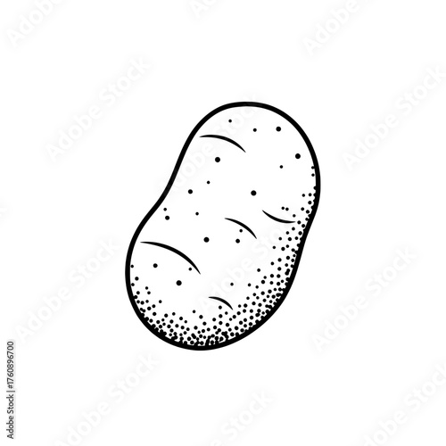 Potato Outline Illustration 