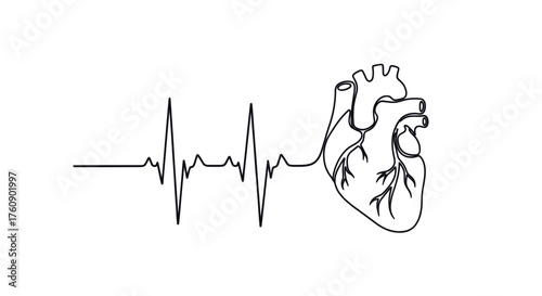 Human heart with ECG line symbolizing cardiology, healthcare, and World Heart Day awareness. Line art vector illustration, isolated on a transparent background