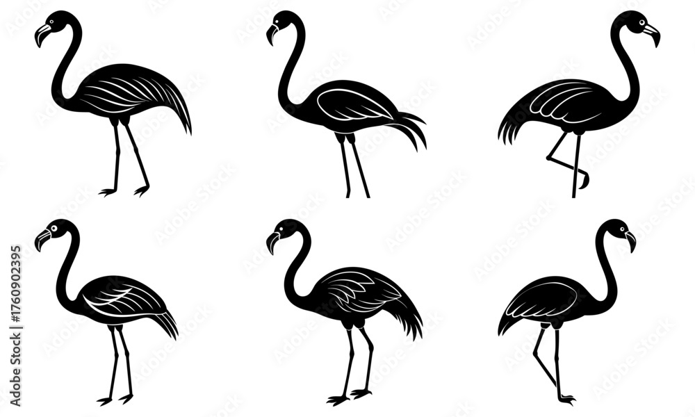 Fototapeta premium Silhouette illustration of six flamingoes in various poses on a white background in a vector format