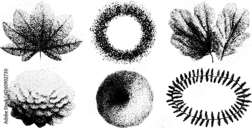 Vintage engraving style depicting leaves and floral shapes. Simple black outline vector illustration set in a digital format.