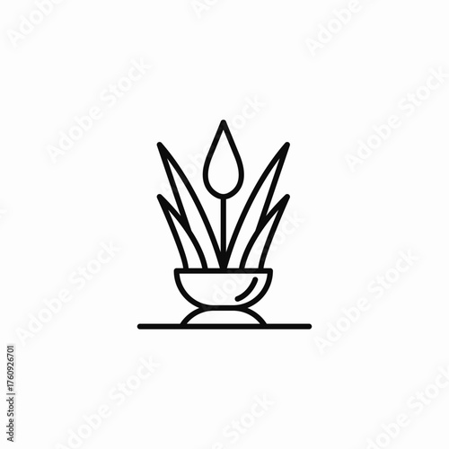 aloe vera plant icon sign vector