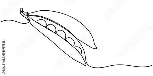 Continuous one line drawing capturing the simple beauty of a fresh pea pod vector outline illustration. 