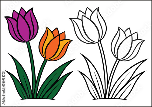 Elegant floral design illustration with vibrant colors and classic typography
