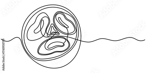 sugar palm continuous one line drawing, Sugar palm Fruit outline vector isolated on white background. 