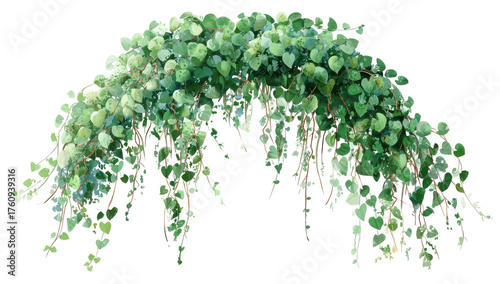 A lush, arching greenery display