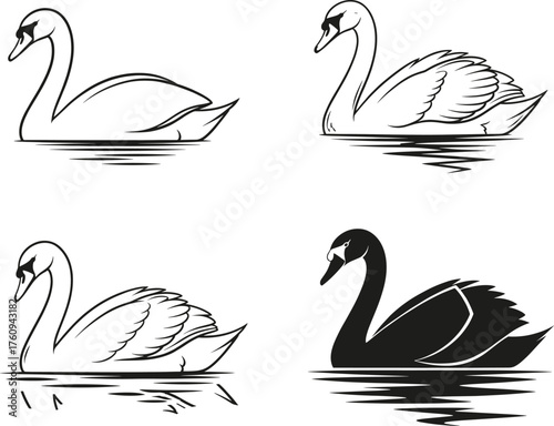 Elegant swan vector illustration set featuring graceful water birds swimming on lake, line art, black silhouette, and minimal design