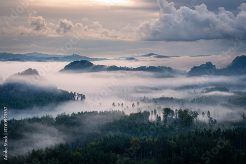Bild auf Leinwand Saxon Switzerland Nebel