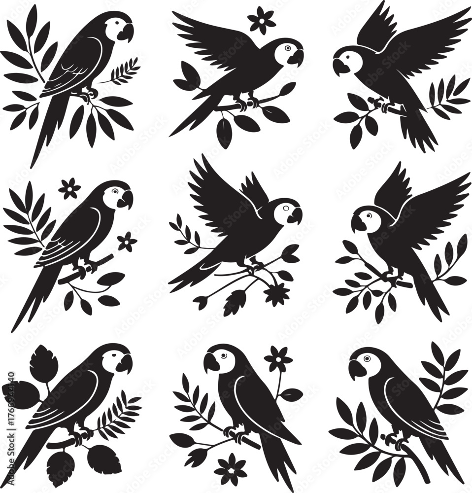 Fototapeta premium Tropical Parrot Bird Silhouette Collection