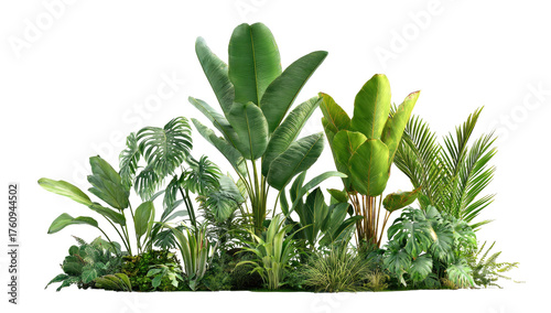 Lush tropical plants in a dense grouping