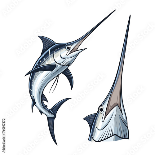 Swordfish Fullbody and Close-Up Illustration for Ocean Design
