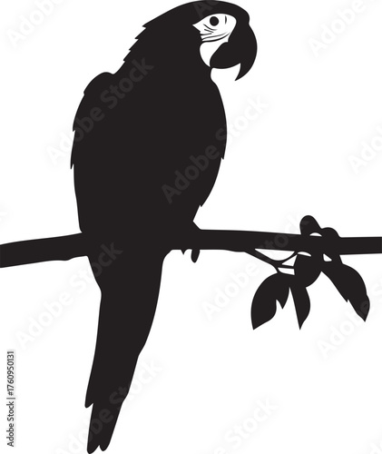 Silhouetted macaw parrot perched on a branch with leaves detailed artistic profile