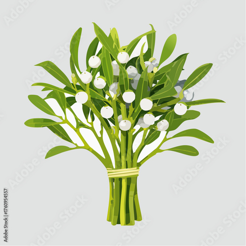 Mistelzweig mit weißen Beeren