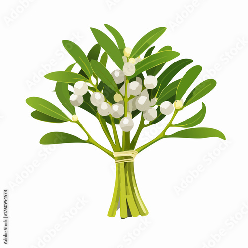 Mistelzweig mit weißen Beeren