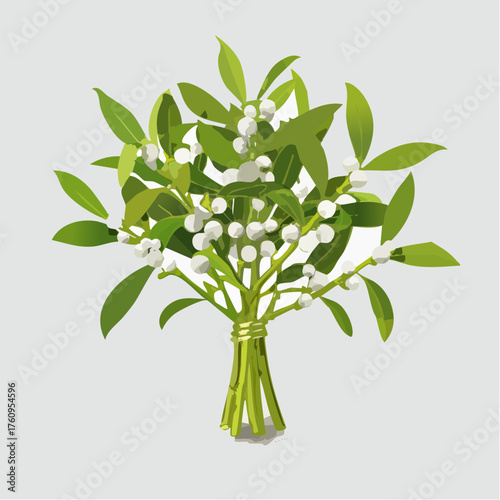 Mistelzweig mit weißen Beeren