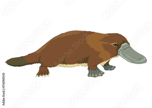 PLATYPUS.ai