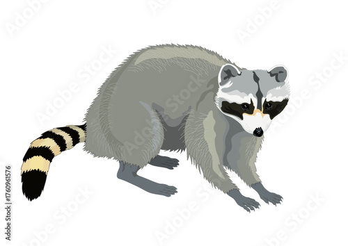Racoon.ai