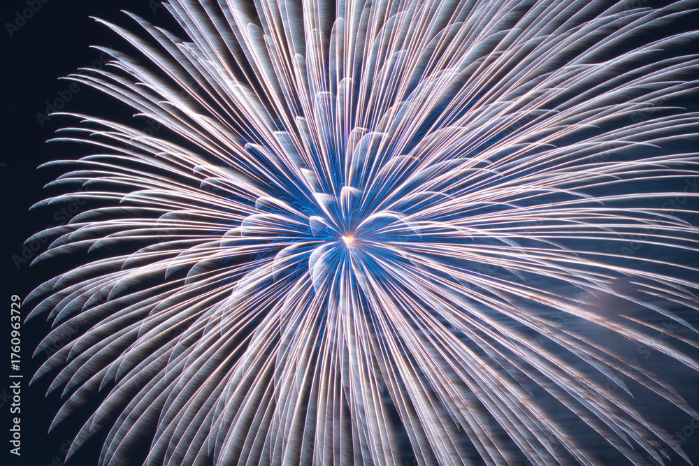 Obraz premium 花火